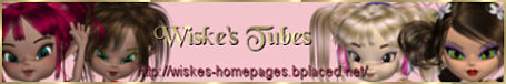 Wiske`s Tubes