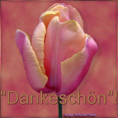 HomepageHelfer Dankt!